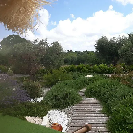 Trullo Del Bosco Felice Country house *